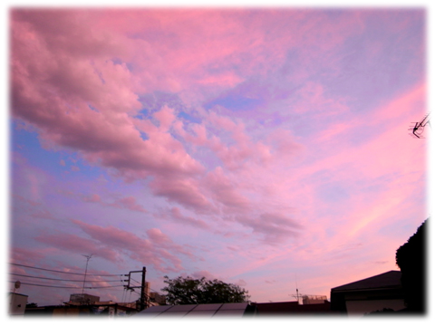 0717_pink_sunset.jpg