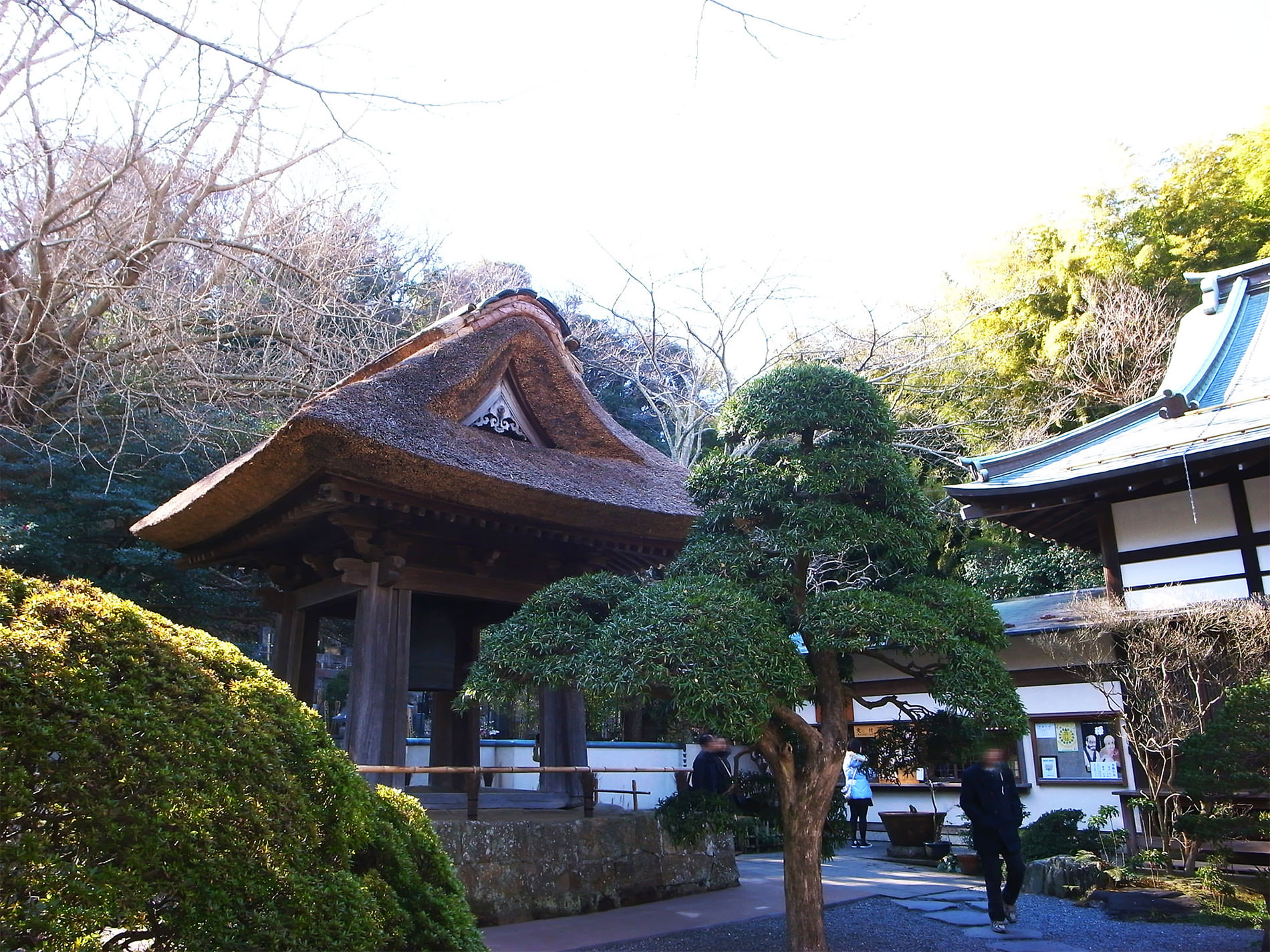 報国寺と竹林と | Hokokuji-Temple and Bamboo thicket in Kamakura