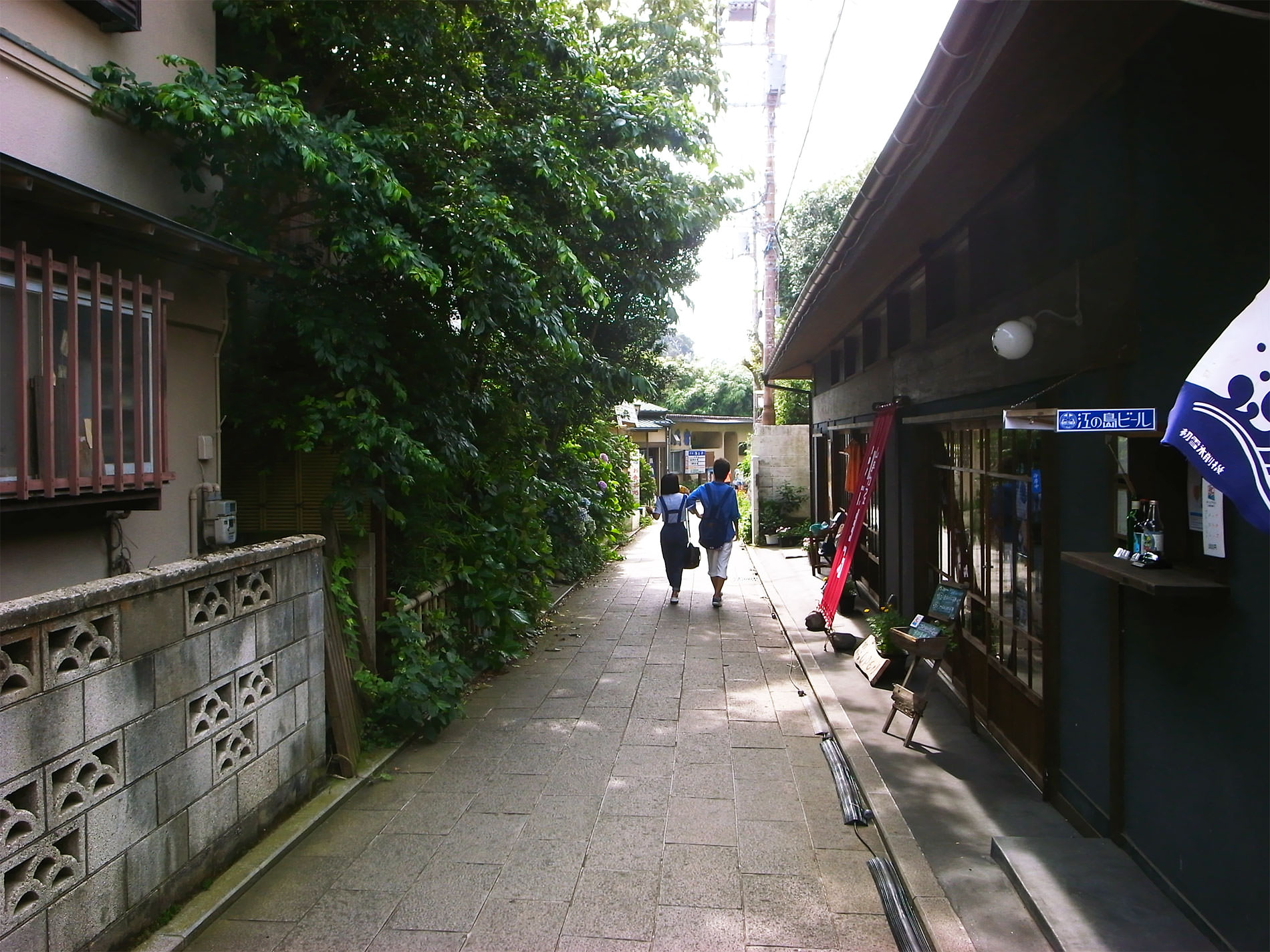 江ノ島 2015 | Enoshima Island walking 2015