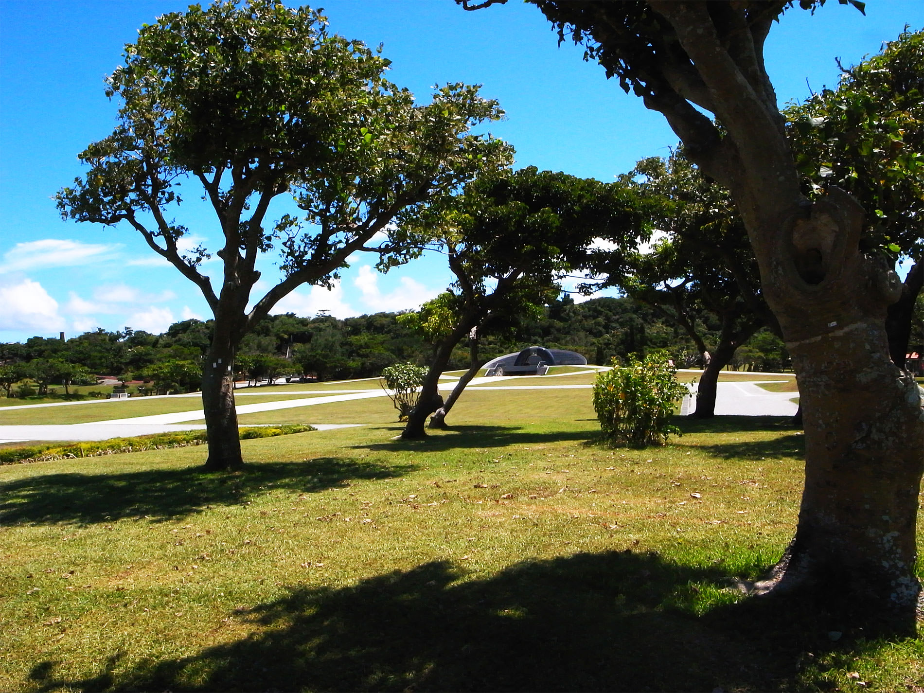 沖縄旅行 / 2017 | Trip to Okinawa 2017
