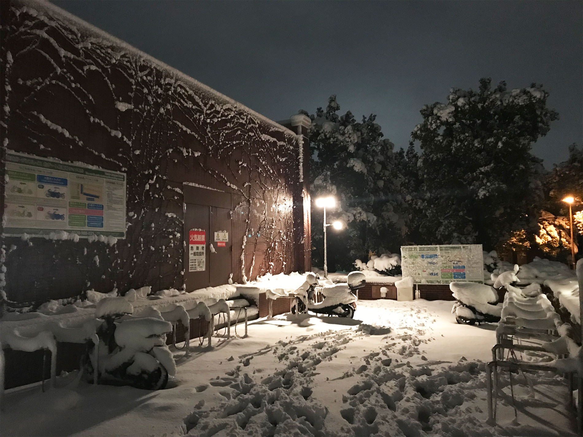 東京都 雪 / 2018