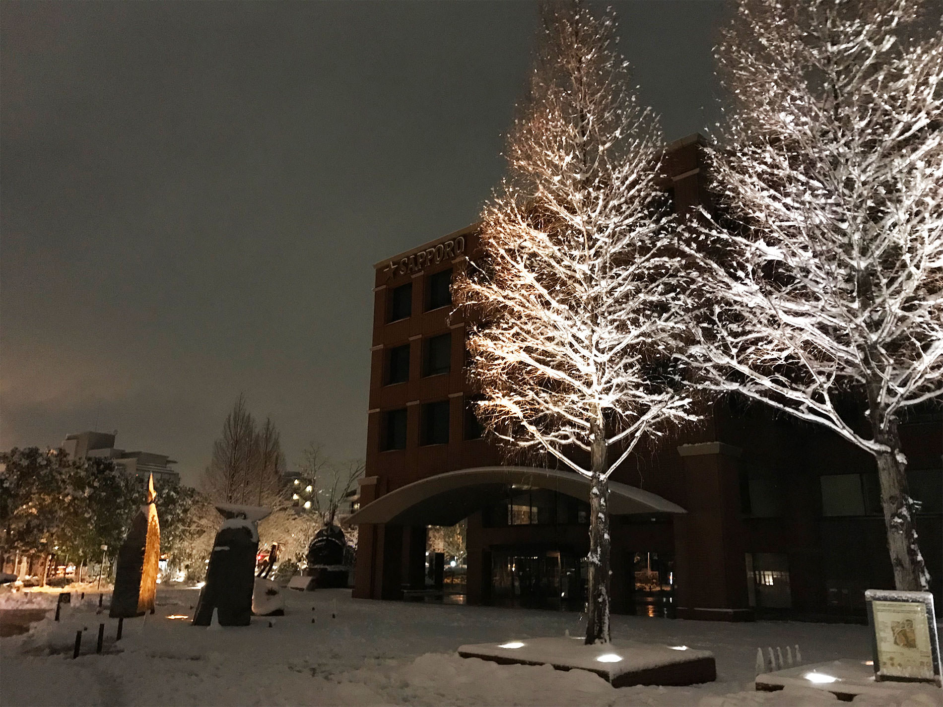 東京都 雪 / 2018
