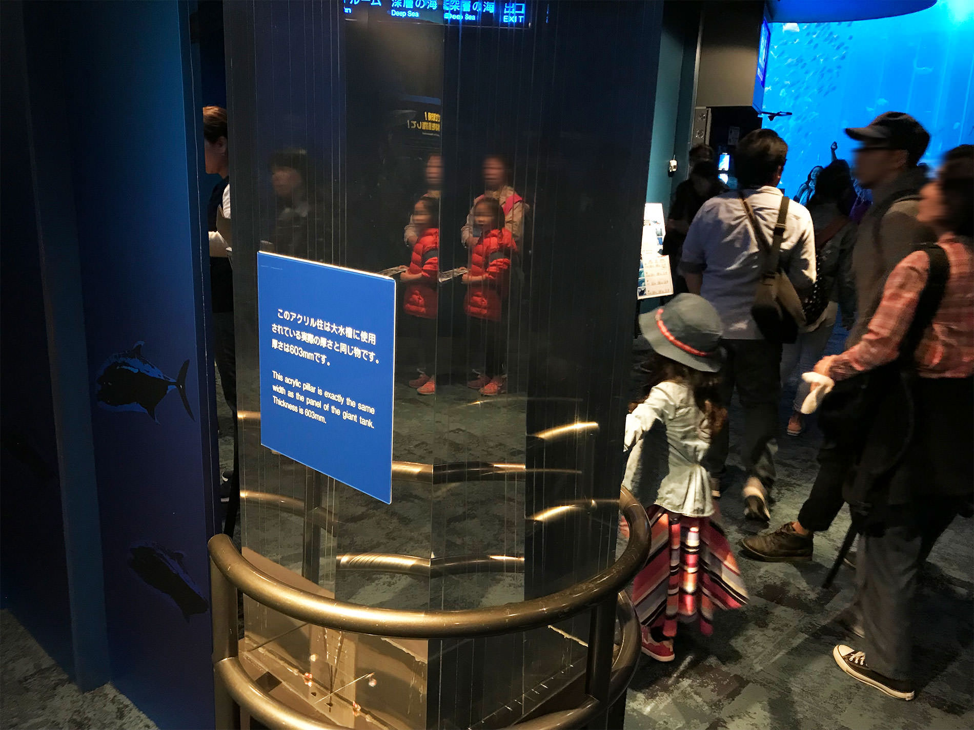 美ら海水族館 / 2018 / Okinawa trip to Okinawa Churaumi Aquarium