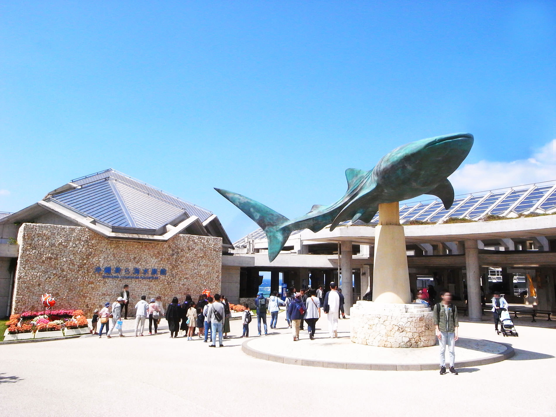 美ら海水族館 / 2018 / Okinawa trip to Okinawa Churaumi Aquarium