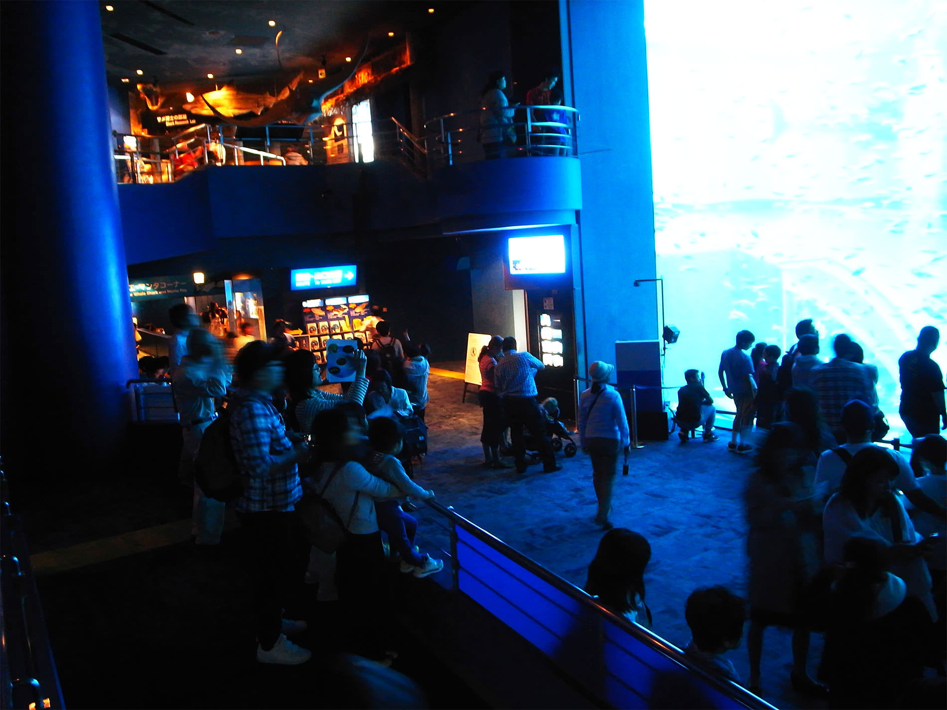 美ら海水族館 / 2018 / Okinawa trip to Okinawa Churaumi Aquarium