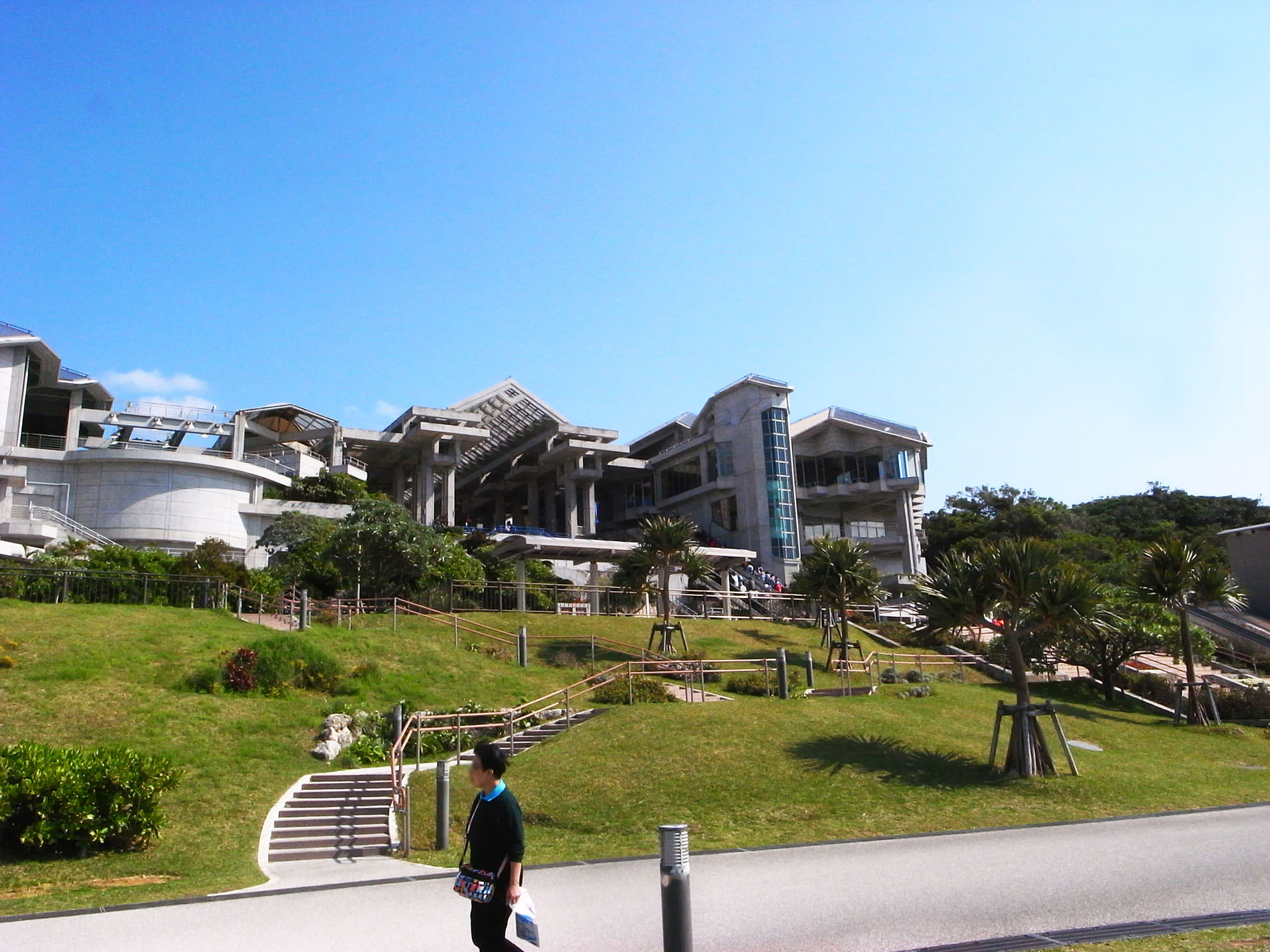 美ら海水族館 / 2018 / Okinawa trip to Okinawa Churaumi Aquarium