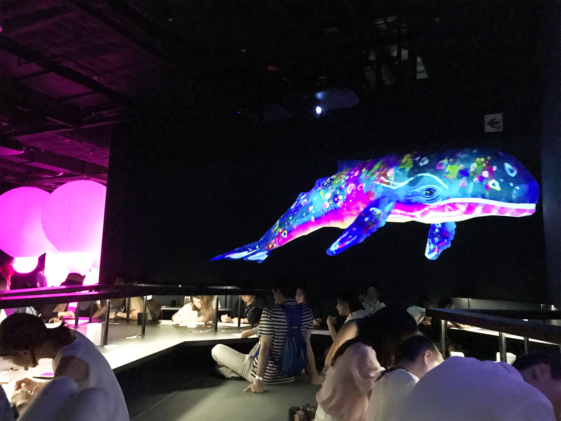 teamLab Borderless Tokyo / チームラボ・ボーダレス東京