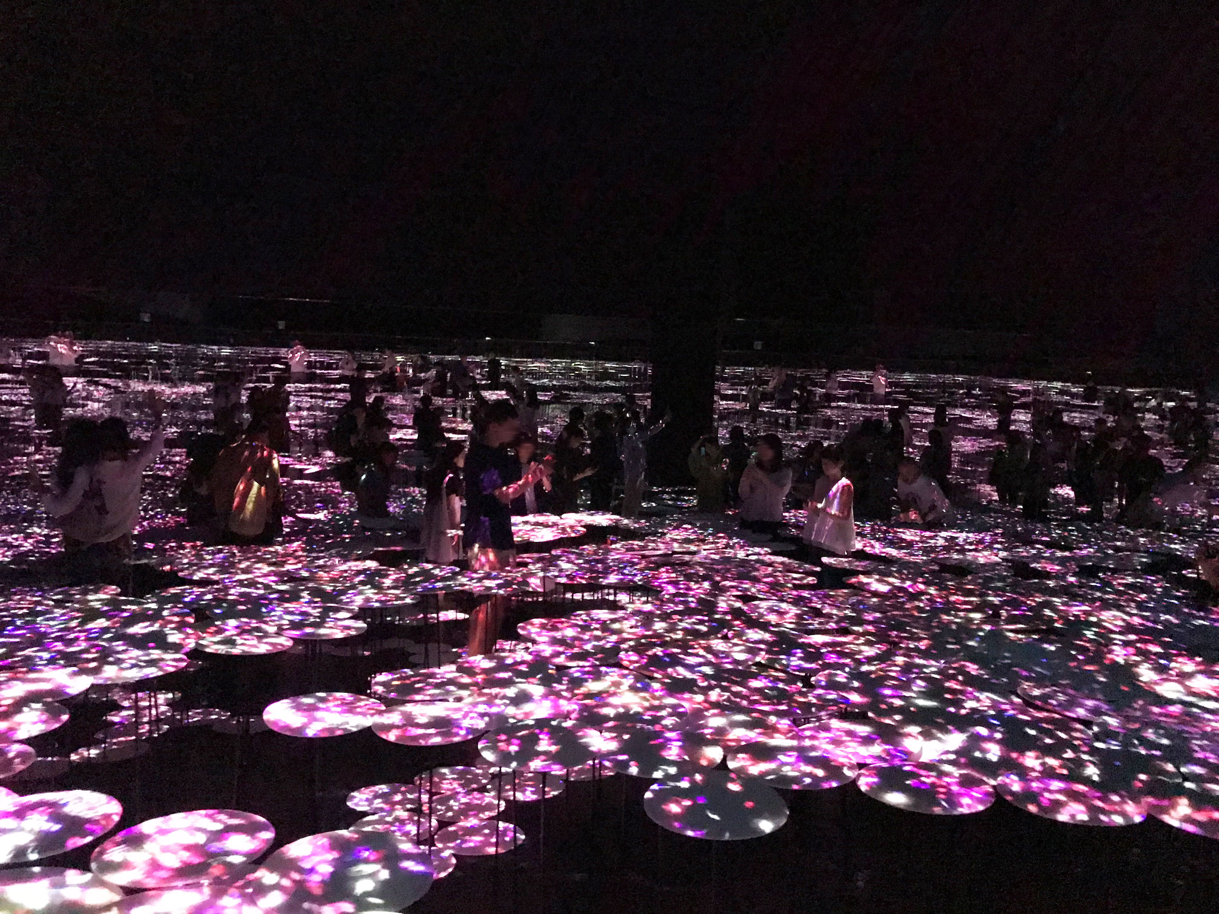 teamLab Borderless Tokyo / チームラボ・ボーダレス東京