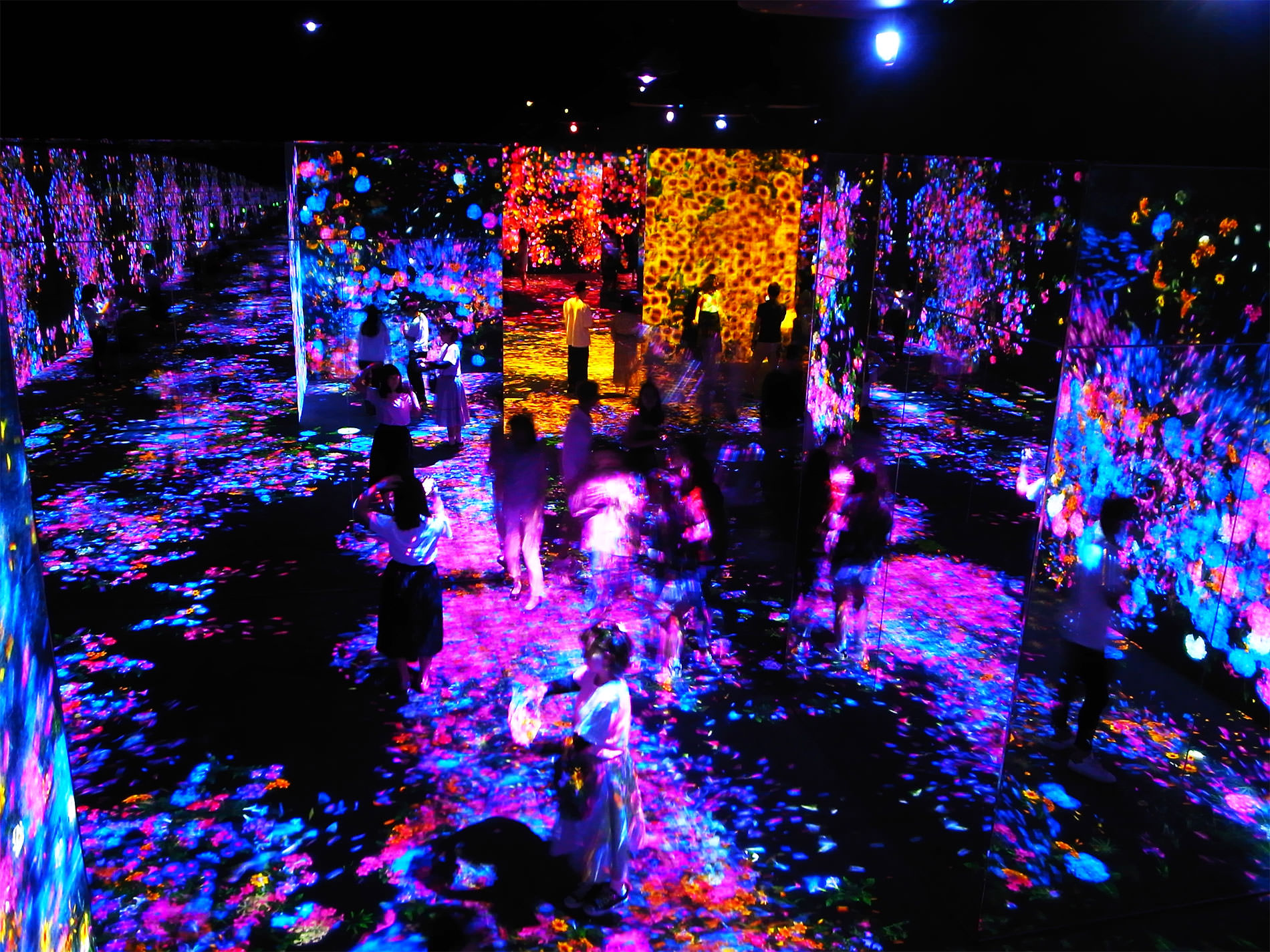 teamLab Borderless Tokyo / チームラボ・ボーダレス東京