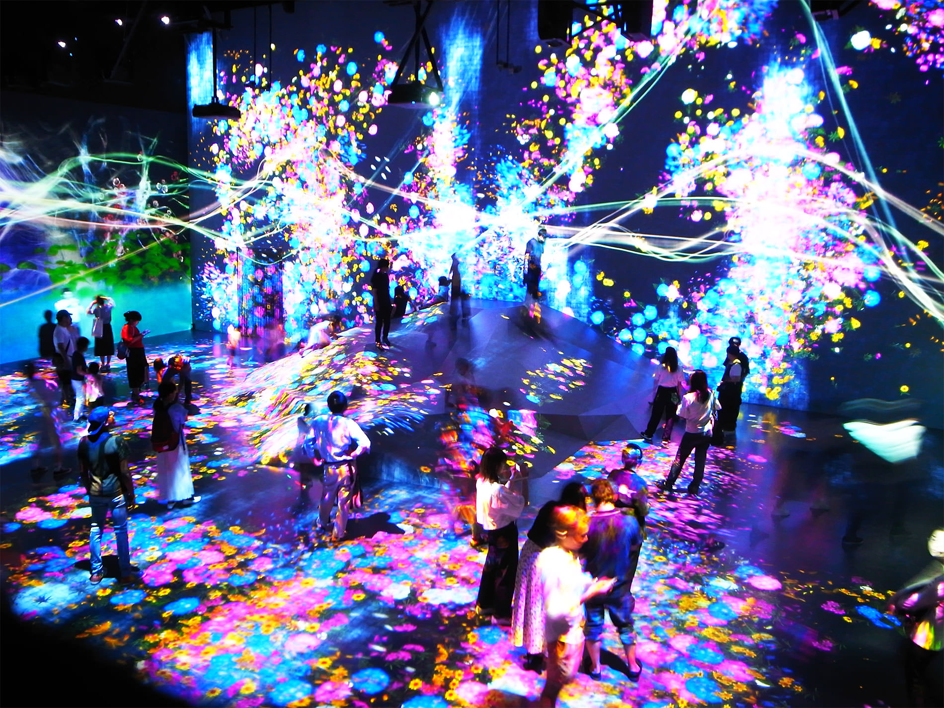 teamLab Borderless Tokyo / チームラボ・ボーダレス東京