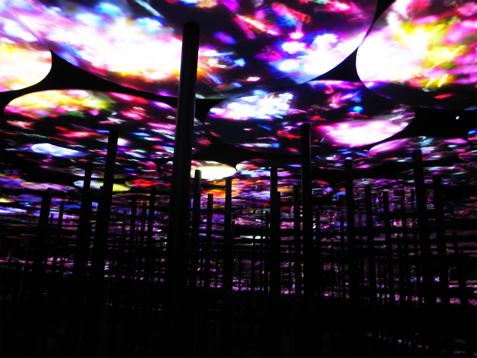 teamLab Borderless Tokyo / チームラボ・ボーダレス東京