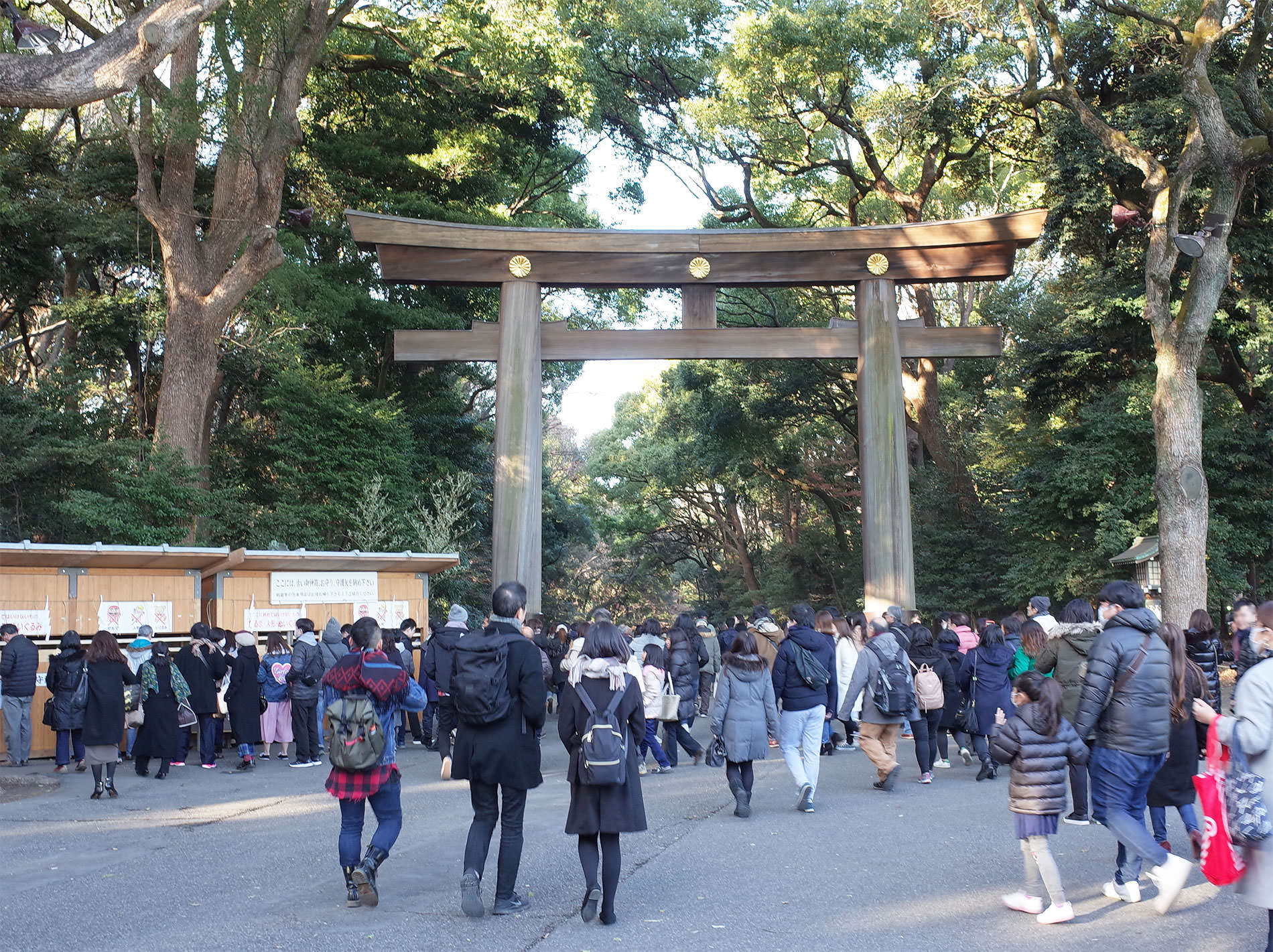 初詣2019 / The first Tokyo's shrine visit of 2019