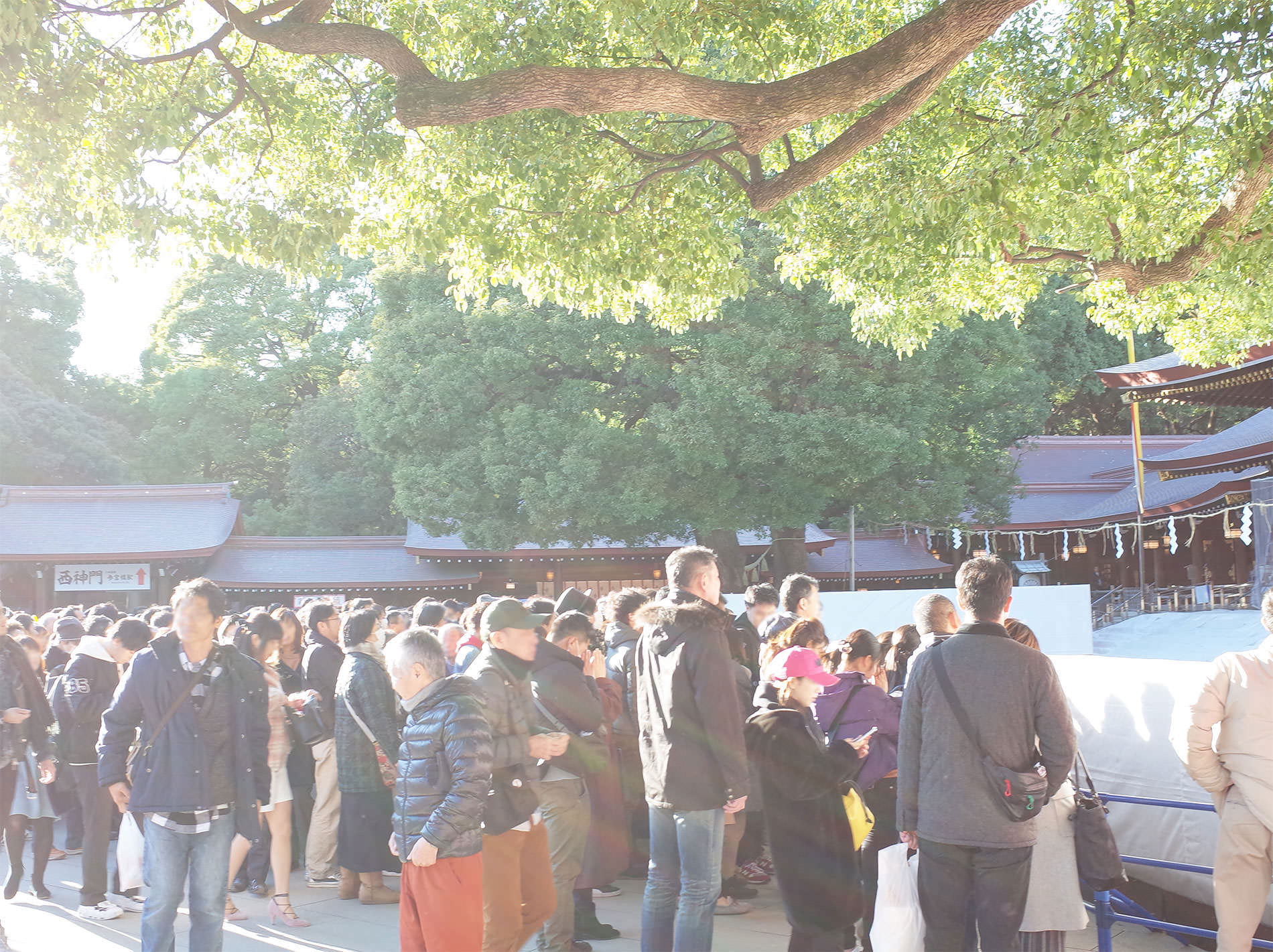 初詣2019 / The first Tokyo's shrine visit of 2019
