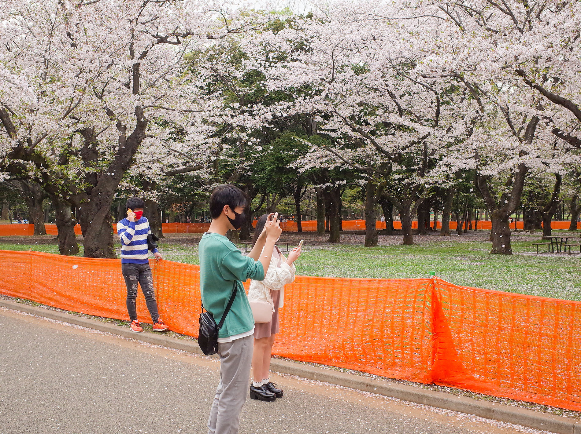 桜とコロナと / 2021 | Sakura and Covid-19 in Tokyo 2021