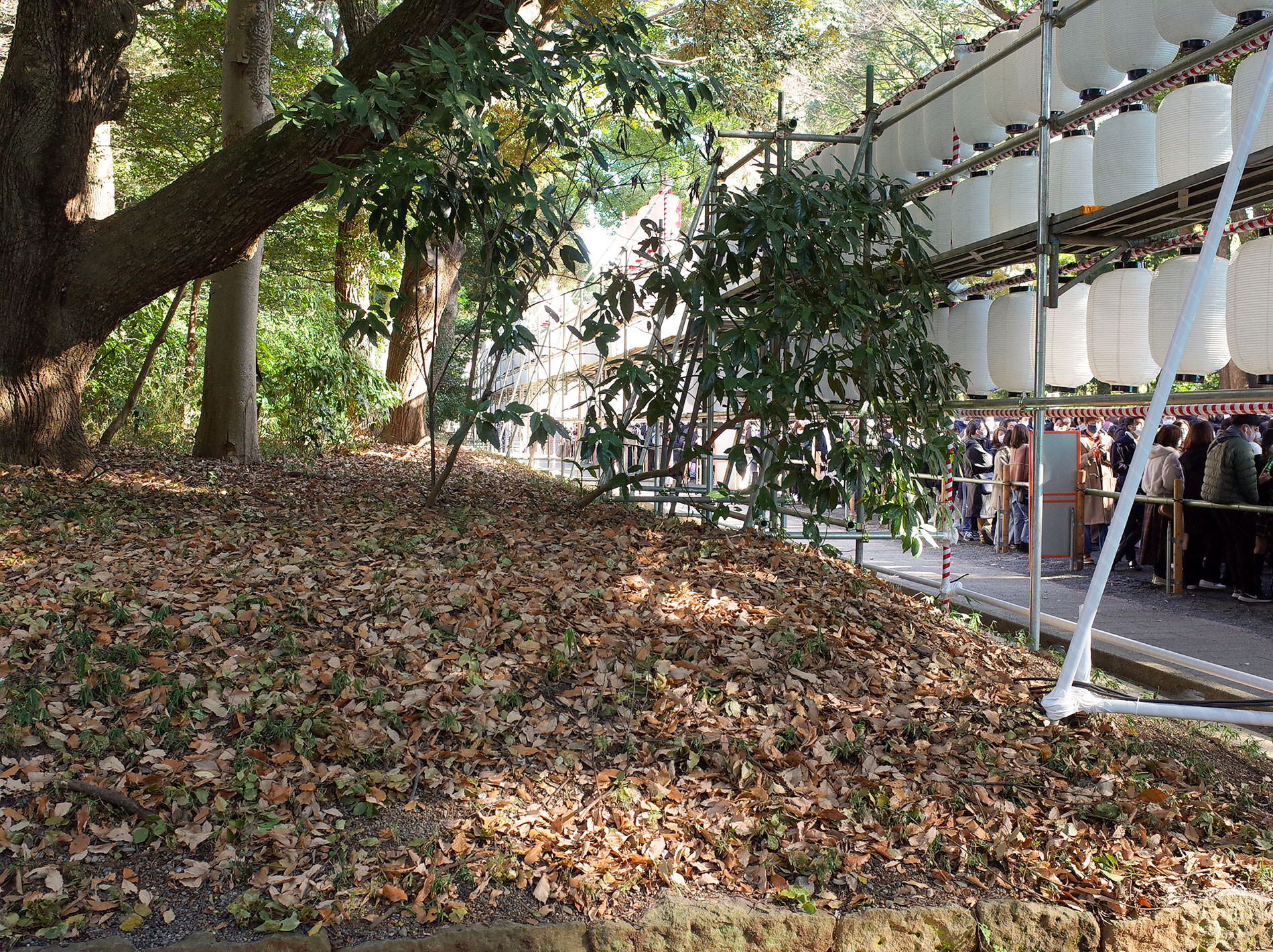初詣 2022 / The first Tokyo's shrine visit of 2022