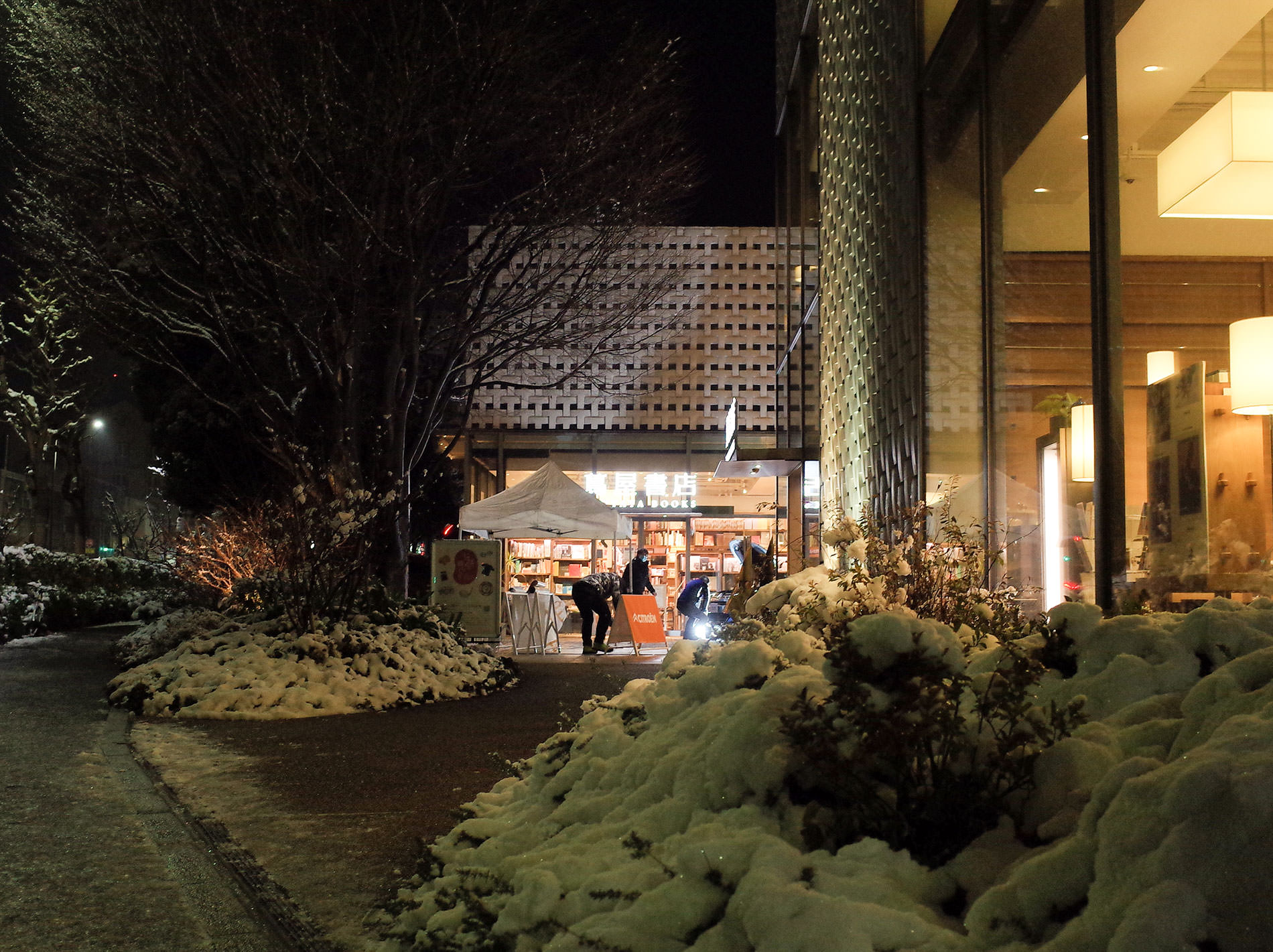 雪 2022 / It was snow in tokyo 2022