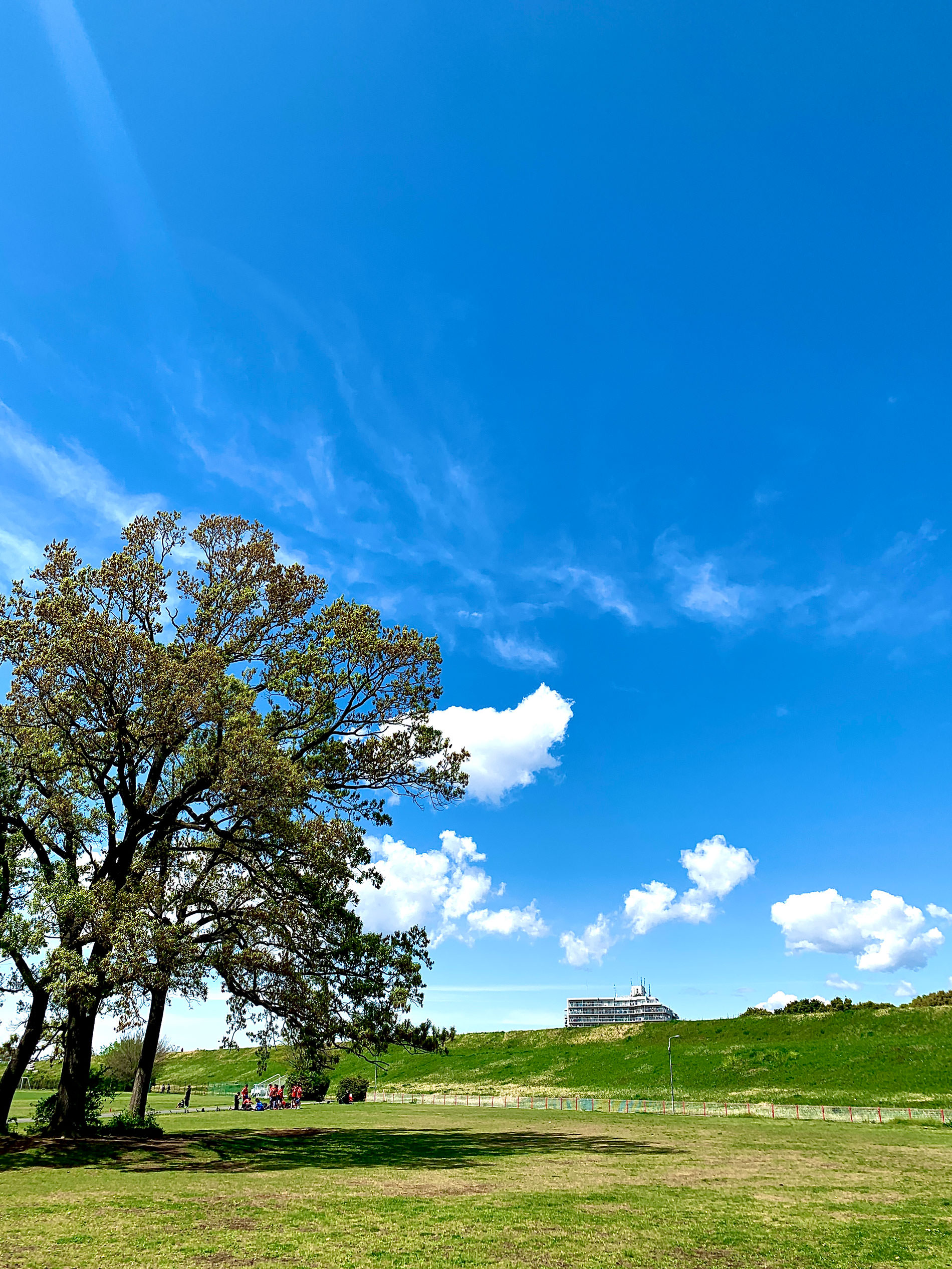 2022_04_21_春の陽気と晴天と / 2022_april_good-weather_and