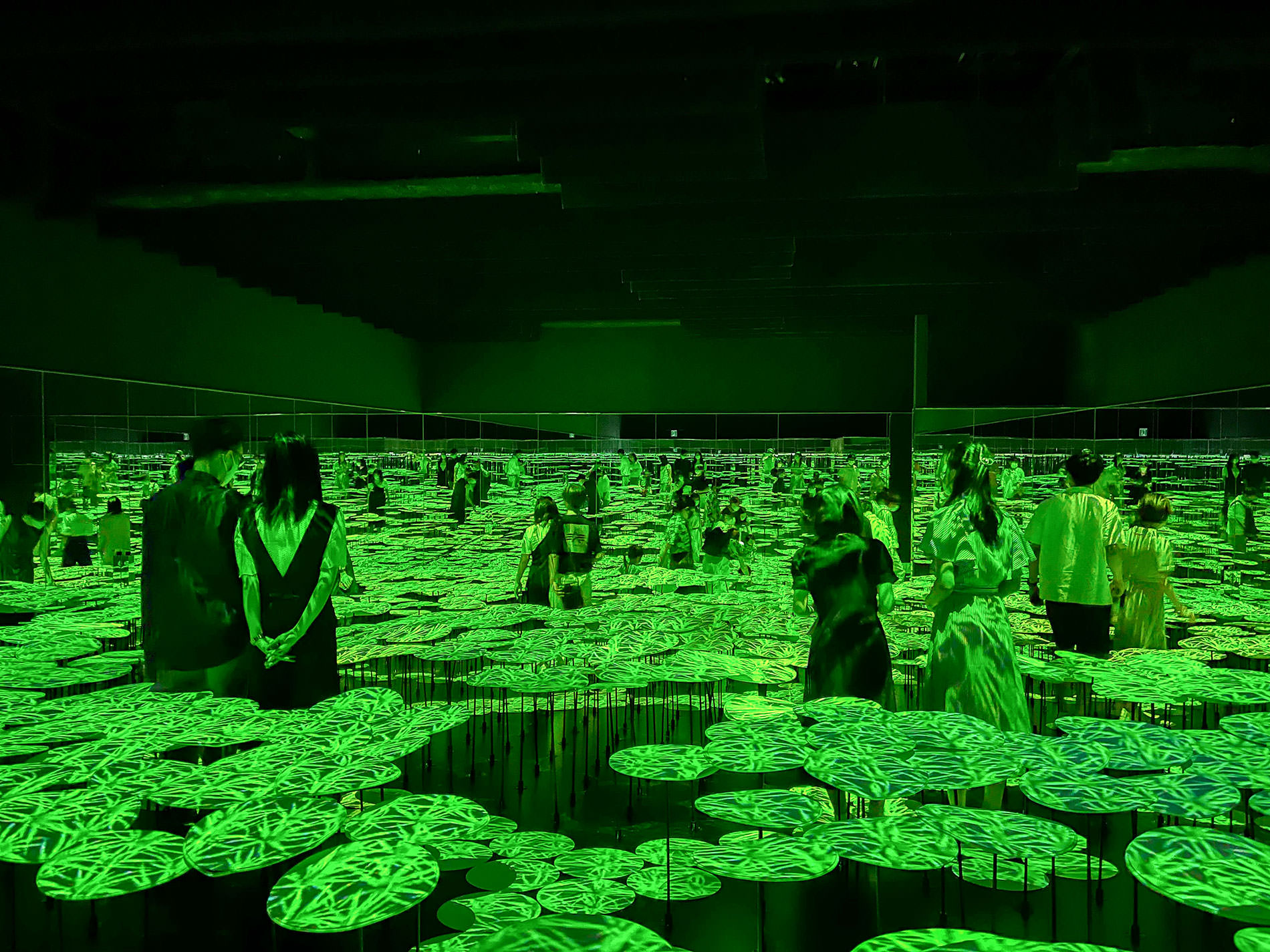 まもなく閉館のため再訪：teamLab Borderless Tokyo | チームラボボーダレス東京 / Revisited as the museum will be closing soon | teamLab Borderless Tokyo 2022