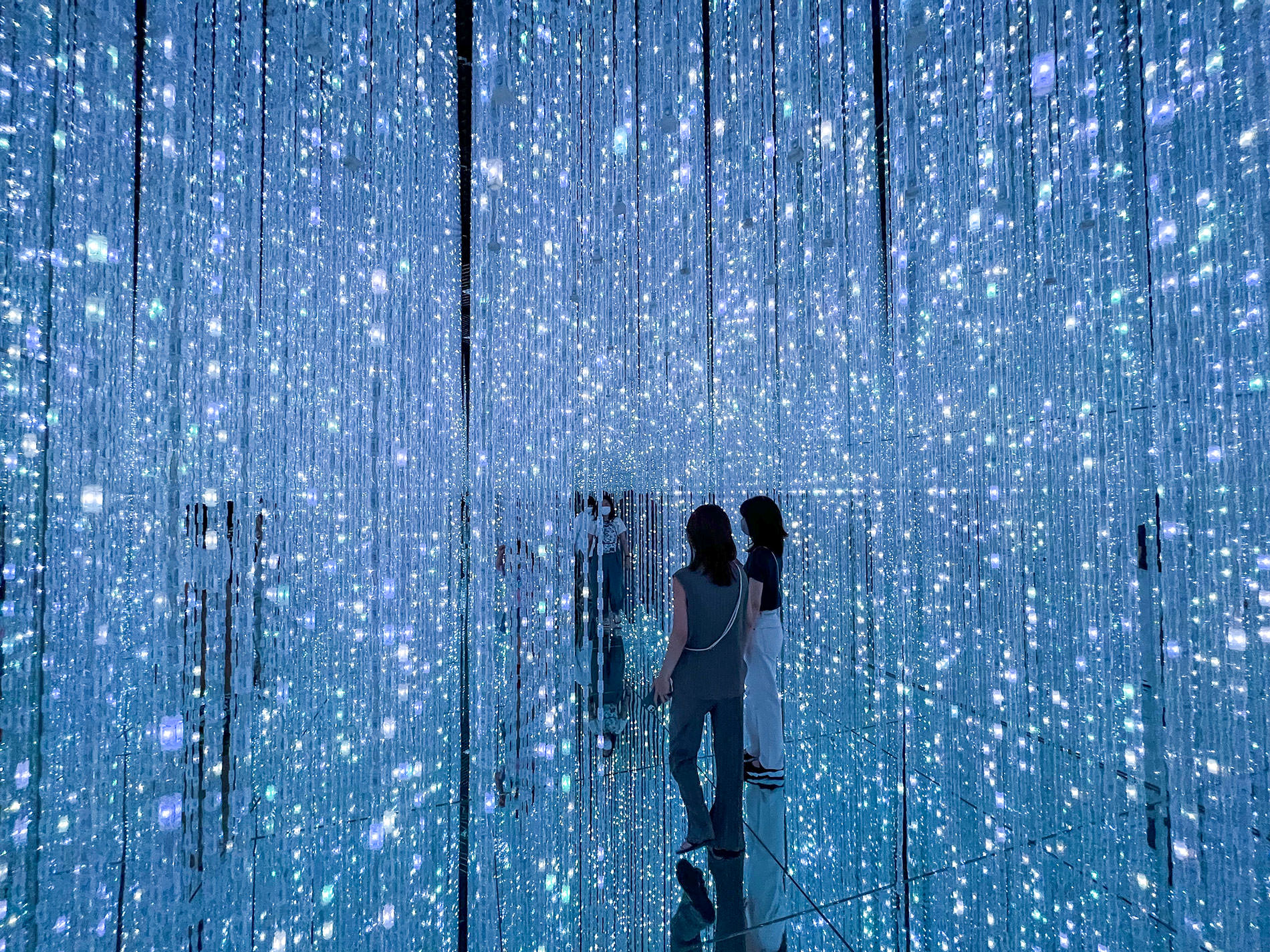 まもなく閉館のため再訪：teamLab Borderless Tokyo | チームラボボーダレス東京 / Revisited as the museum will be closing soon | teamLab Borderless Tokyo 2022