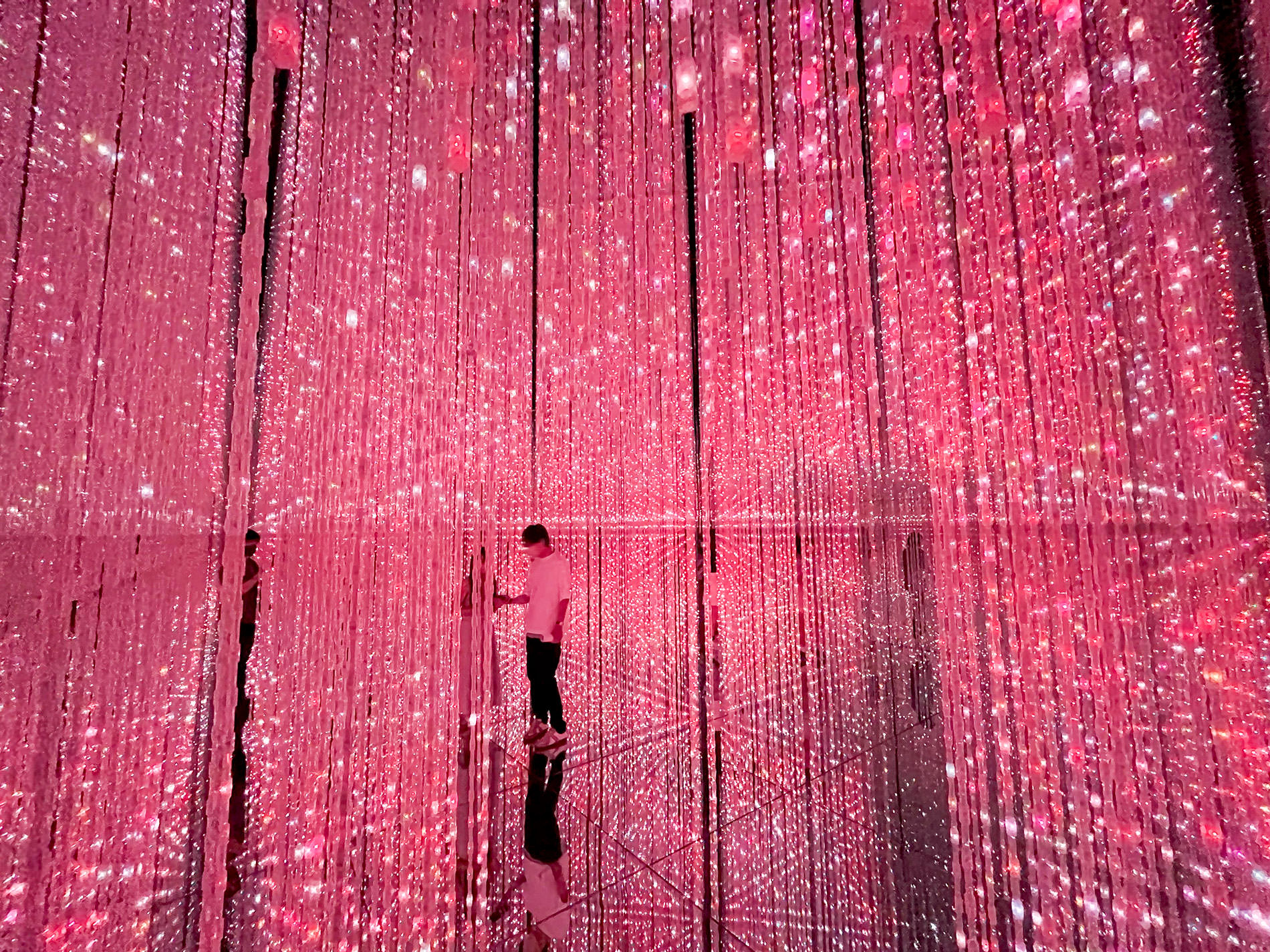 まもなく閉館のため再訪：teamLab Borderless Tokyo | チームラボボーダレス東京 / Revisited as the museum will be closing soon | teamLab Borderless Tokyo 2022