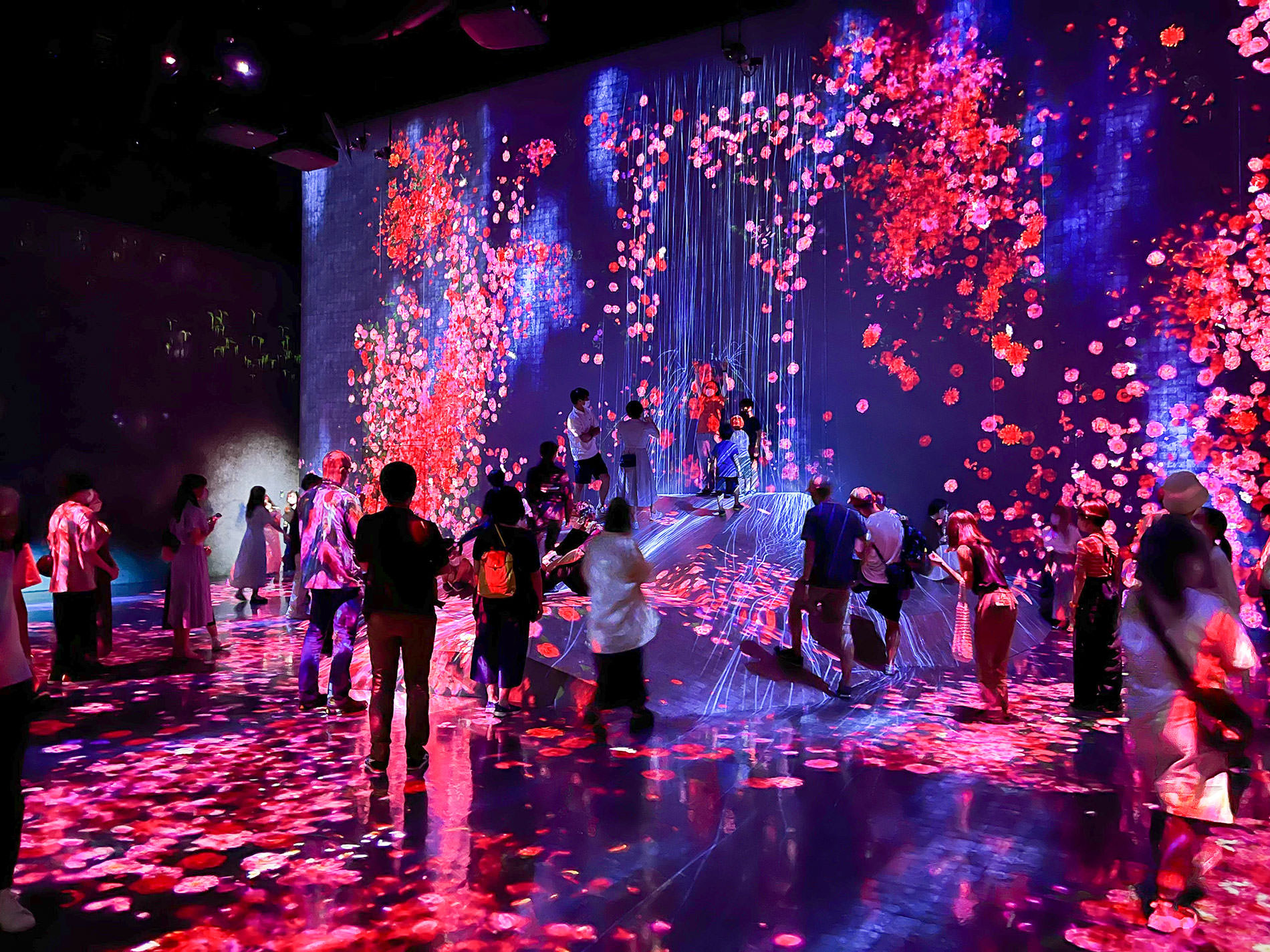 まもなく閉館のため再訪：teamLab Borderless Tokyo | チームラボボーダレス東京 / Revisited as the museum will be closing soon | teamLab Borderless Tokyo 2022