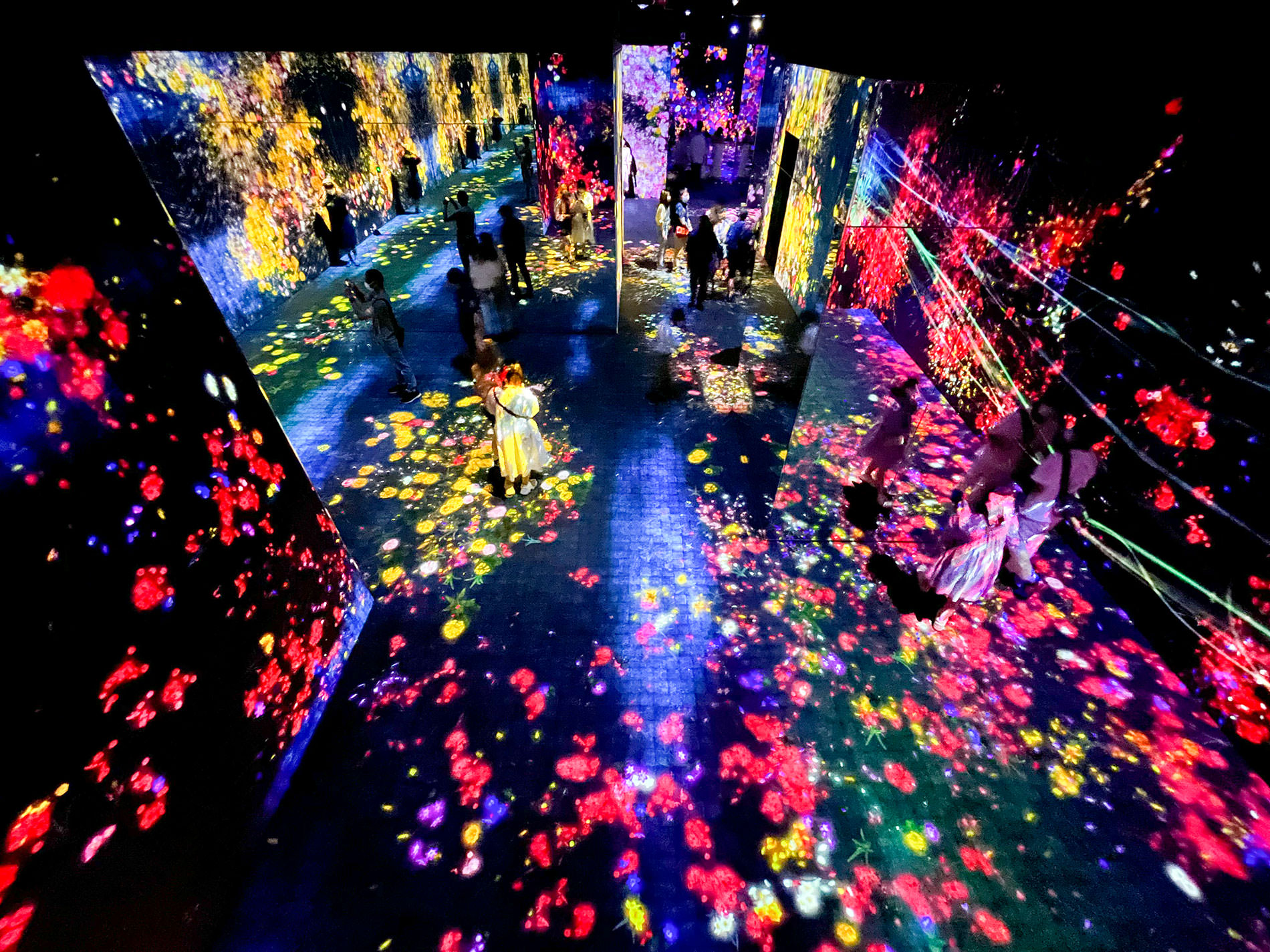 まもなく閉館のため再訪：teamLab Borderless Tokyo | チームラボボーダレス東京 / Revisited as the museum will be closing soon | teamLab Borderless Tokyo 2022