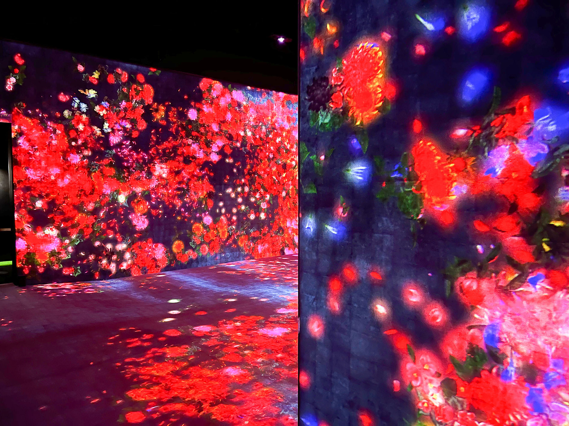 まもなく閉館のため再訪：teamLab Borderless Tokyo | チームラボボーダレス東京 / Revisited as the museum will be closing soon | teamLab Borderless Tokyo 2022