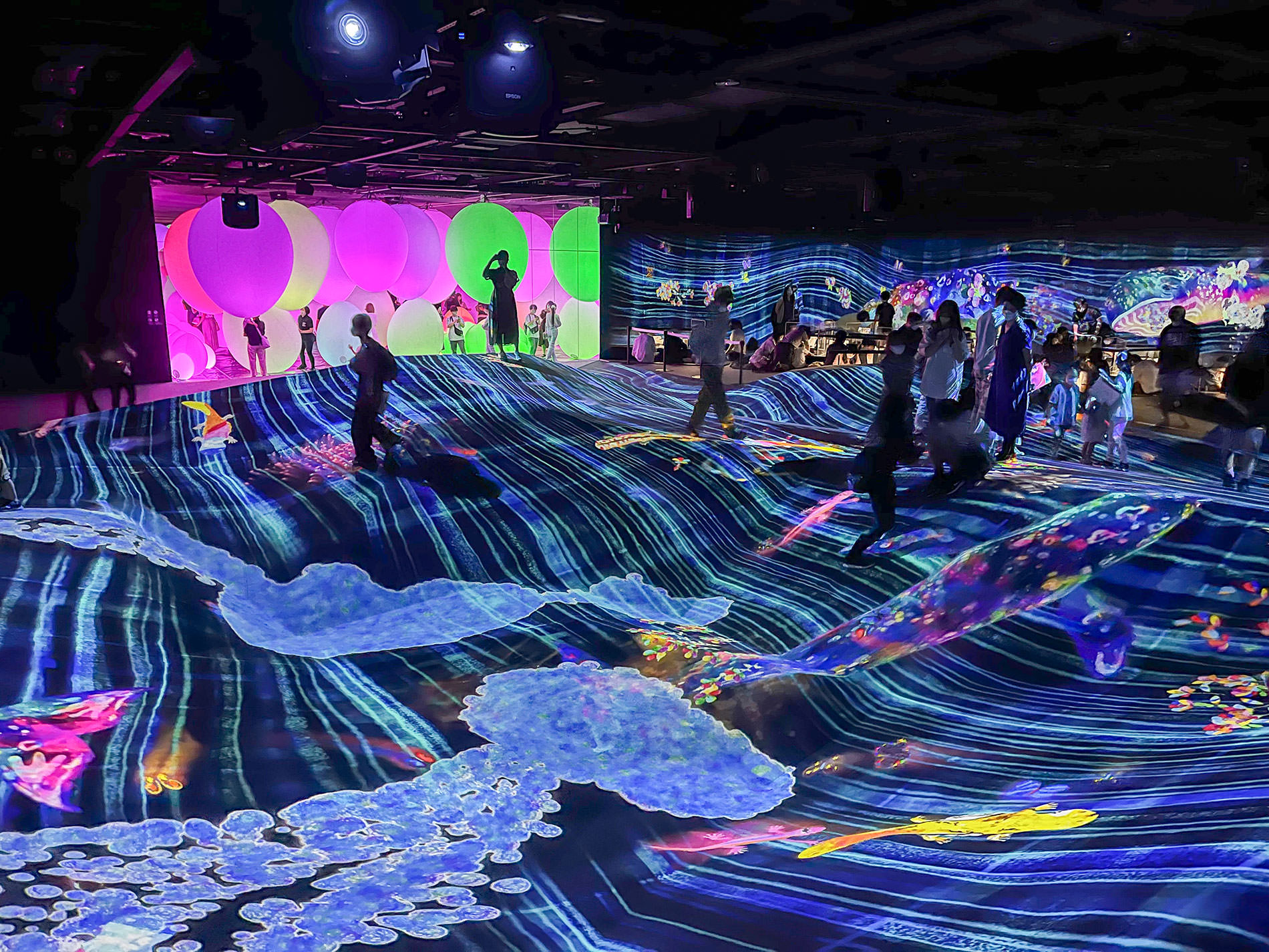 まもなく閉館のため再訪：teamLab Borderless Tokyo | チームラボボーダレス東京 / Revisited as the museum will be closing soon | teamLab Borderless Tokyo 2022
