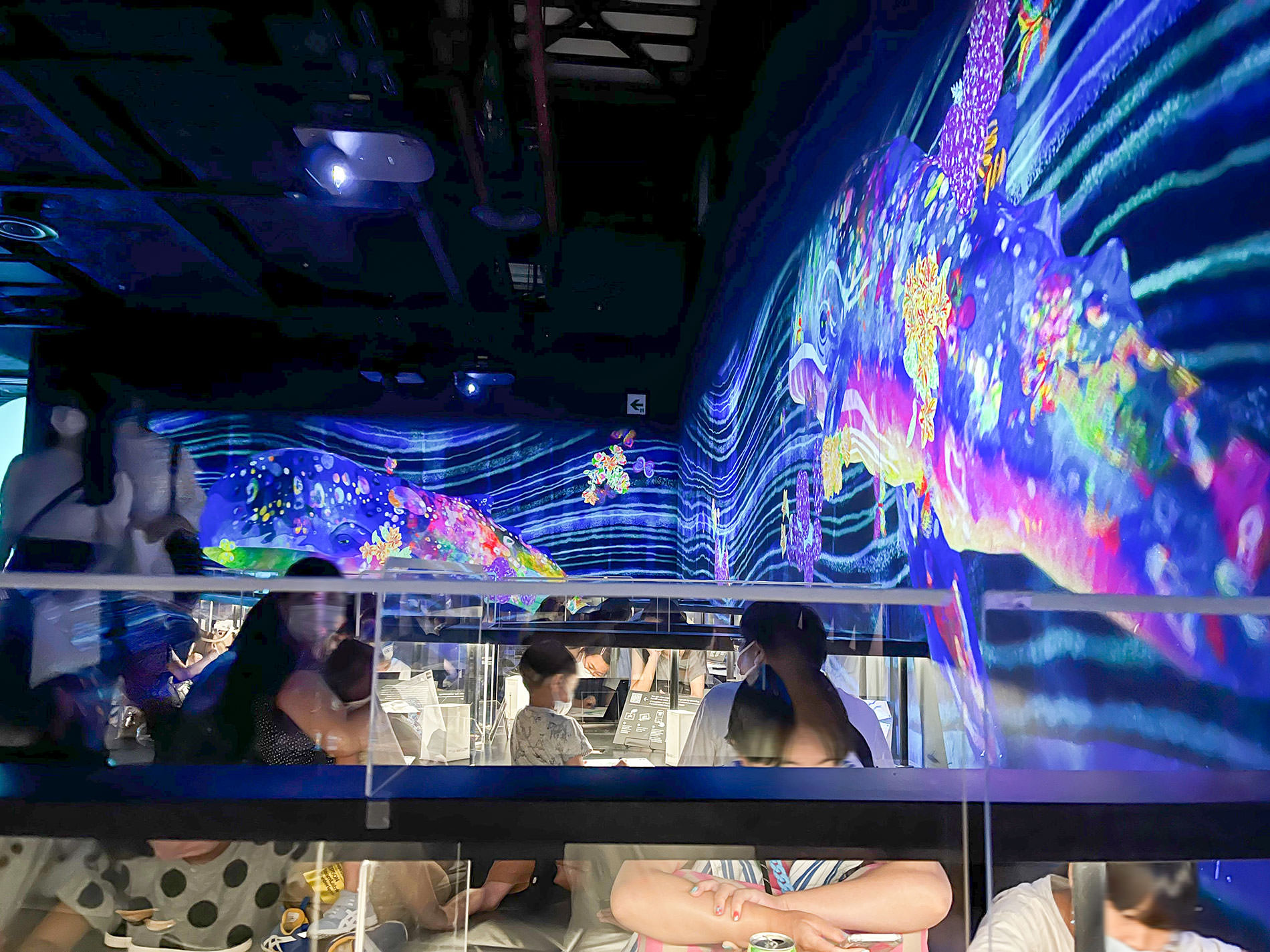 まもなく閉館のため再訪：teamLab Borderless Tokyo | チームラボボーダレス東京 / Revisited as the museum will be closing soon | teamLab Borderless Tokyo 2022
