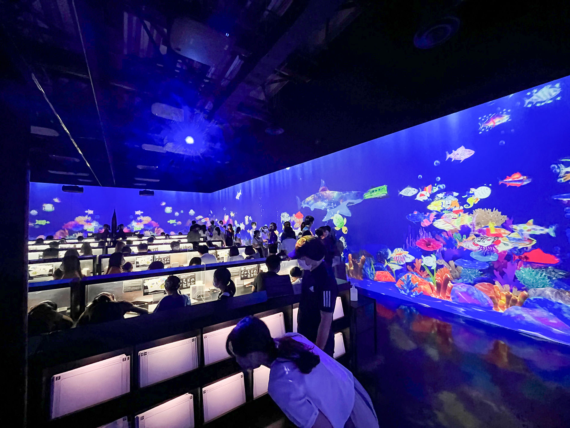 まもなく閉館のため再訪：teamLab Borderless Tokyo | チームラボボーダレス東京 / Revisited as the museum will be closing soon | teamLab Borderless Tokyo 2022