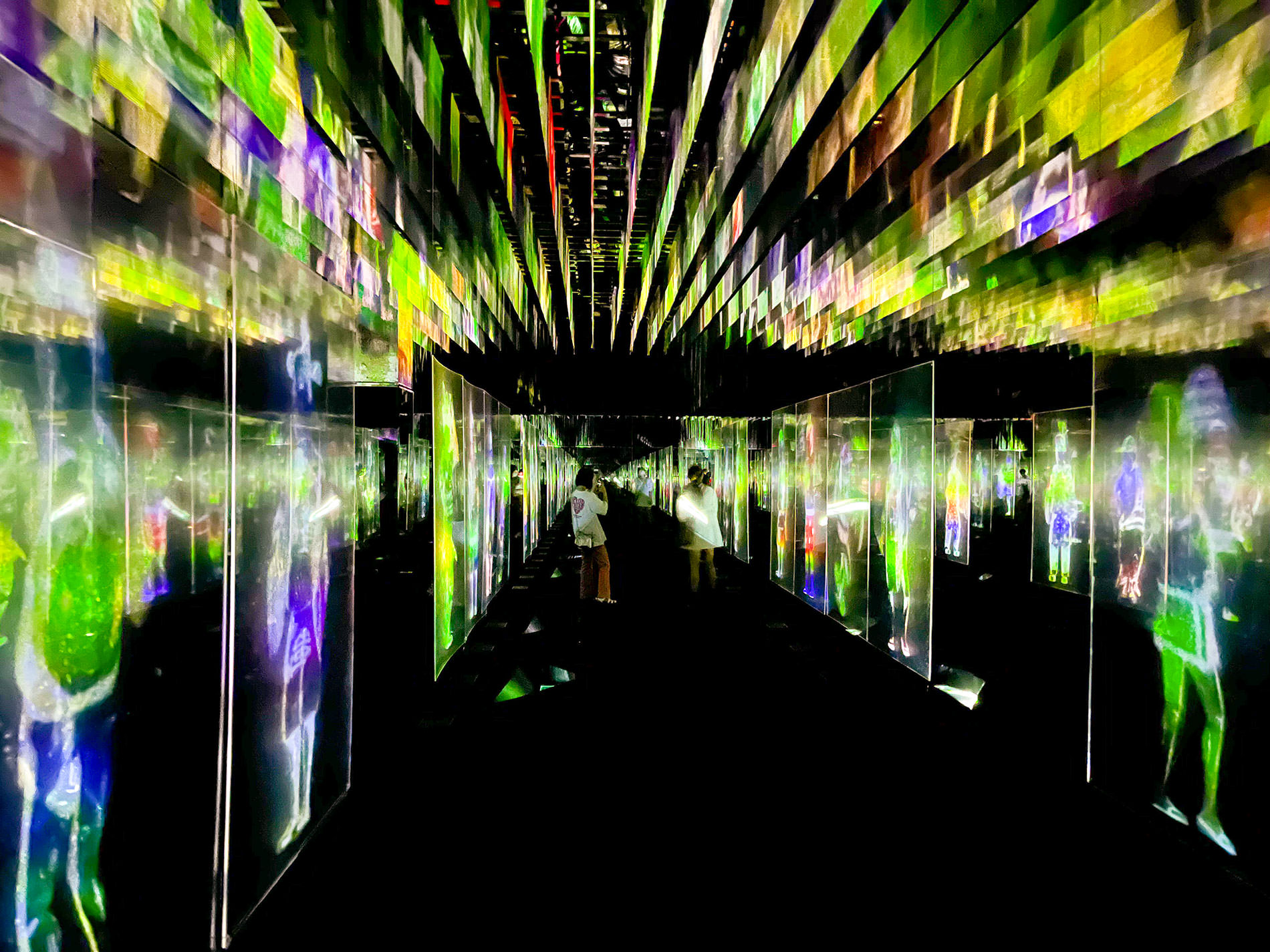 まもなく閉館のため再訪：teamLab Borderless Tokyo | チームラボボーダレス東京 / Revisited as the museum will be closing soon | teamLab Borderless Tokyo 2022