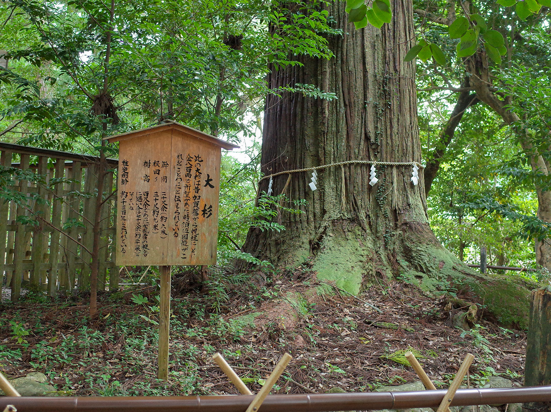 須佐神社 / 出雲旅行 2020 / Susa Shrine 2020