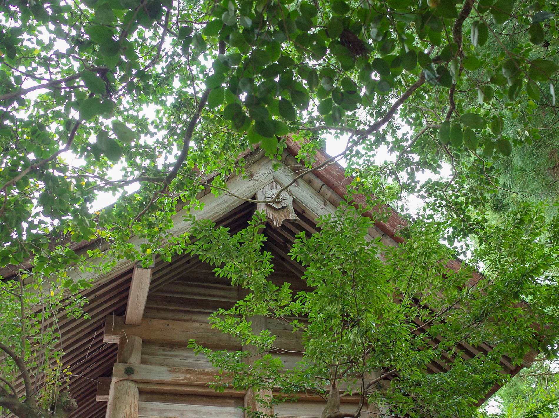 須佐神社 / 出雲旅行 2020 / Susa Shrine 2020