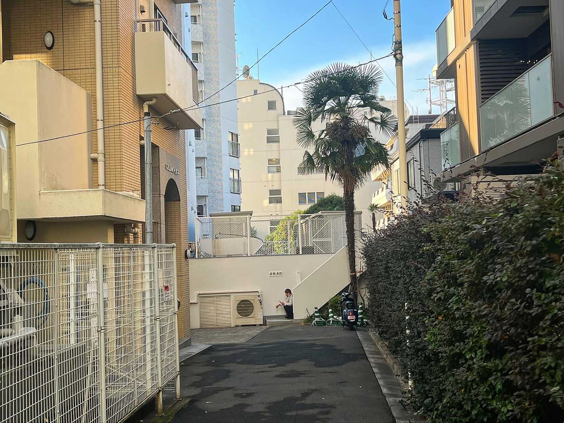 231216_最近の平凡な日常 / Ordinary life these days