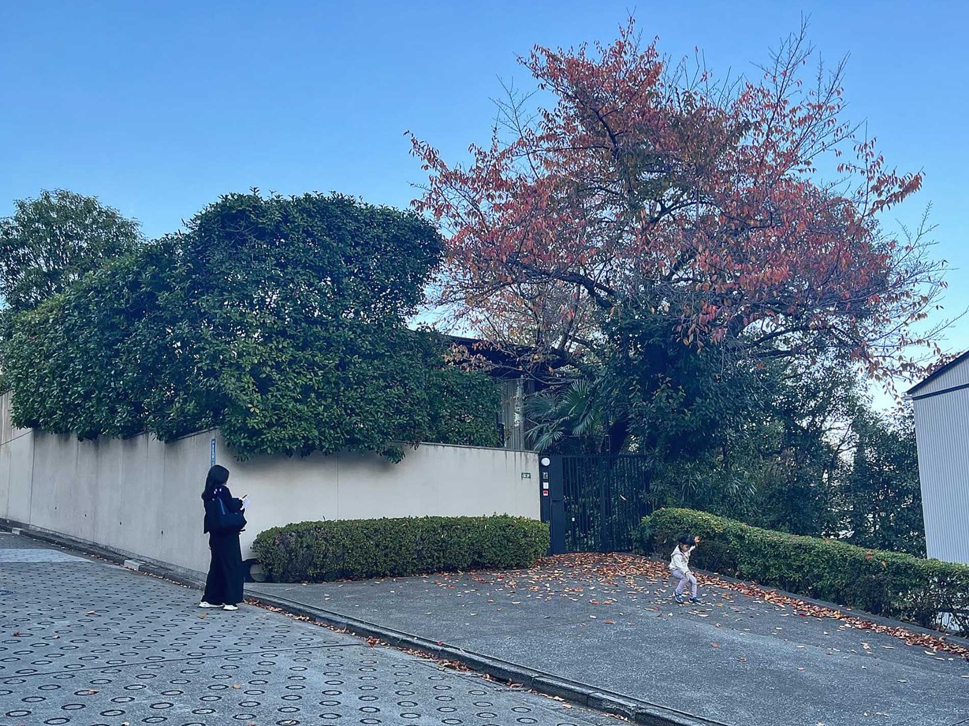 231216_最近の平凡な日常 / Ordinary life these days