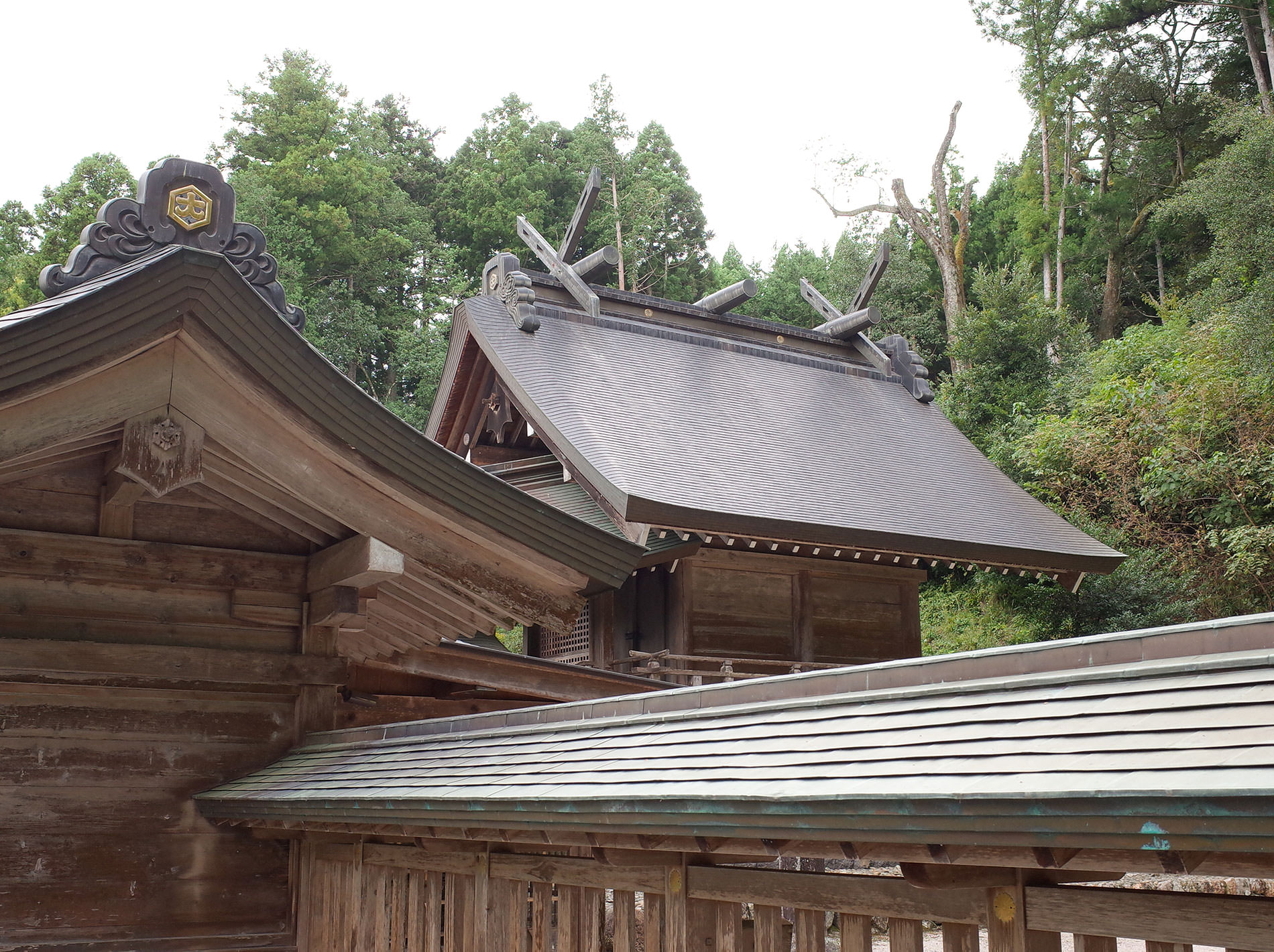 出雲国一之宮 熊野大社（出雲旅行 2020） / Shimane Kumanotaisya 2020